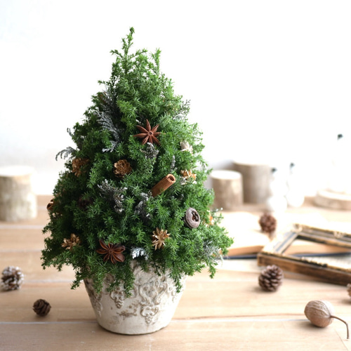 色味を抑えたクリスマスツリー＊32cm＊ゴールド プリザーブド卓上