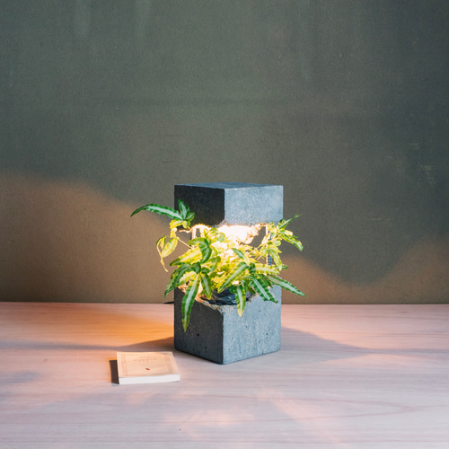 駅building：slender」コンクリートの冷たさを夏の朝に、あたたかな光を涼やかな夜に スタンドライト・テーブルランプ swing homes  通販 18126623｜Creema(クリーマ) ツリースタンプセメント植木鉢、イチゴ&amp;小さなホームデコレーション&amp;フラワーアレンジメント用の大きな開口部プランター