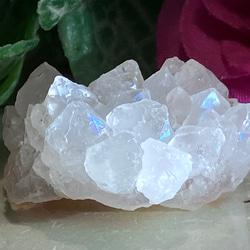 ebd0fcd0b2900067c9239ae7c2c6c2