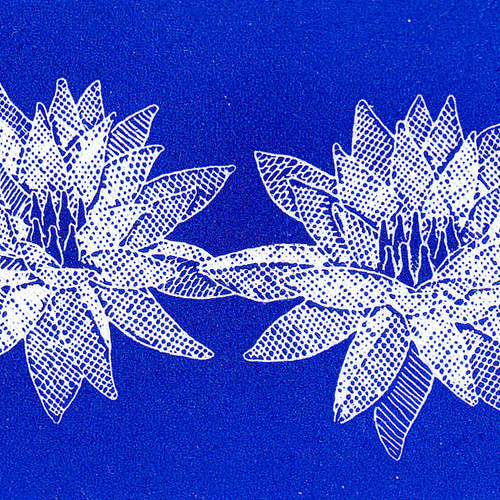 二つの睡蓮・2024/刷色：紺色/銅版画(作品のみ） 版画 Atelie Gray