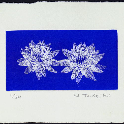 二つの睡蓮・2024/刷色：紺色/銅版画(作品のみ） 版画 Atelie Gray