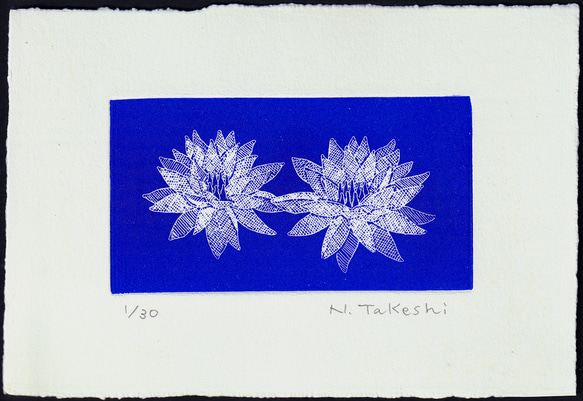 二つの睡蓮・2024/刷色：紺色/銅版画(作品のみ） 版画 Atelie Gray