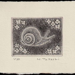 かたつむり・2024/銅版画(作品のみ） 版画 Atelie Gray 通販 18128488