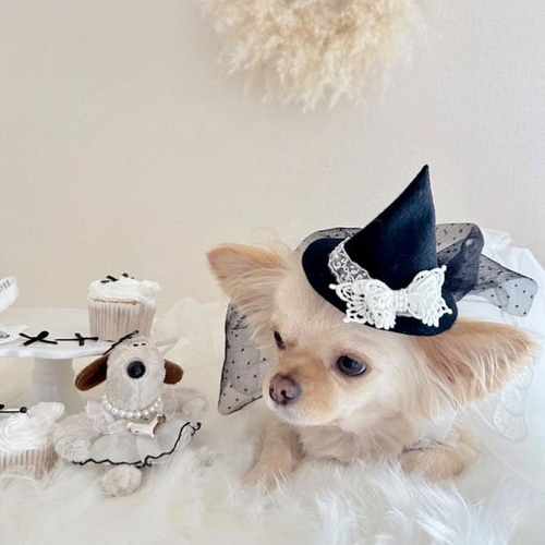 羊毛フェルト 犬 チワワ イチゴケーキ ハンドメイド しみる