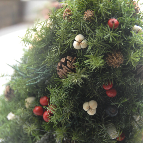 卓上クリスマスツリー＊~プリザーブドフラワー《高さ約25cm》自然素材