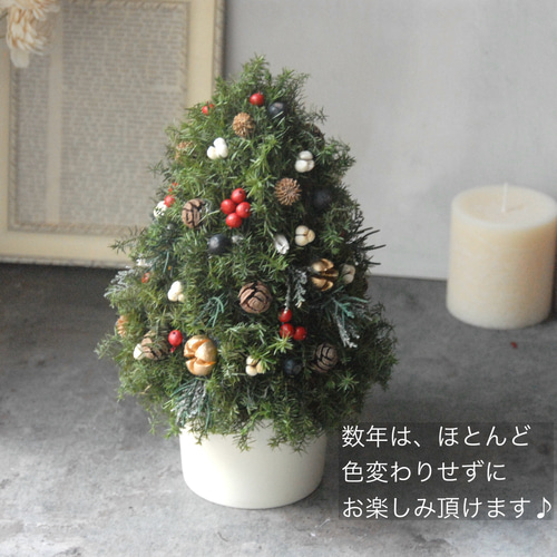 自然素材クリスマスツリー 卓上クリスマスツリー＊~プリザーブドフラワー《高さ約25cm》自然素材