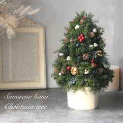 卓上クリスマスツリー＊~プリザーブドフラワー《高さ約25cm》自然素材