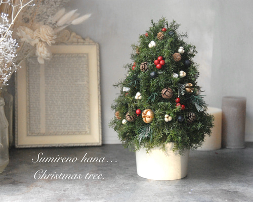 卓上クリスマスツリー＊~プリザーブドフラワー《高さ約25cm》自然素材