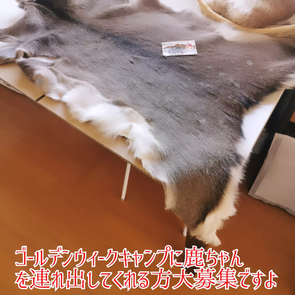 野営キャンプ　鹿ちゃん毛皮ラグマット 