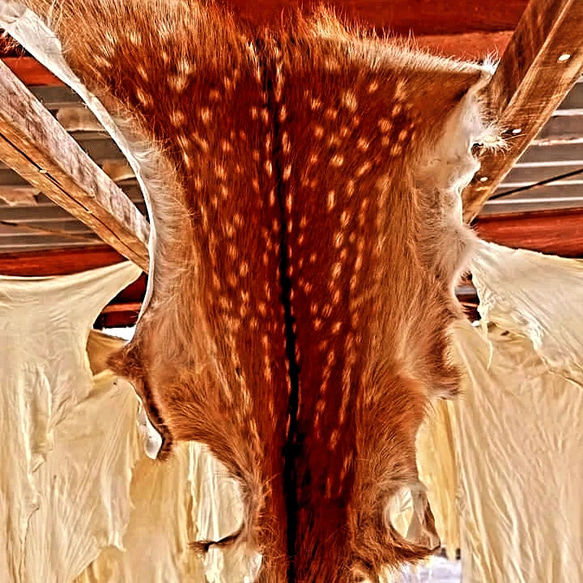 野営キャンプ　鹿ちゃん毛皮ラグマット 