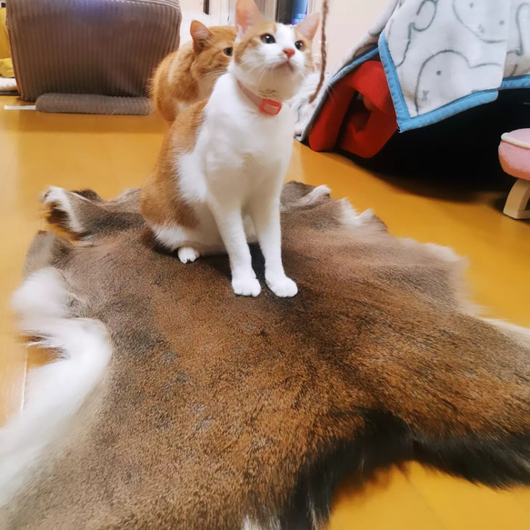 野営キャンプ　鹿ちゃん毛皮ラグマット 