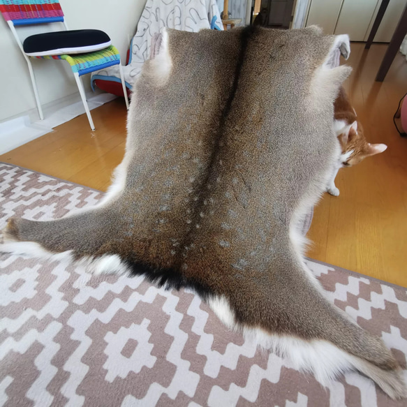 野営キャンプ　鹿ちゃん毛皮ラグマット 