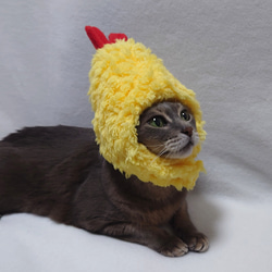 犬猫用コスプレ　エビフライのかぶりもの（帽子） 4枚目の画像