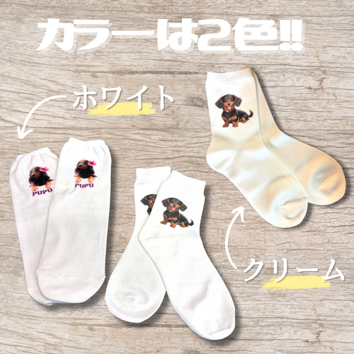 うちの子靴下 靴下 B! 通販｜Creema(クリーマ) 18130698 