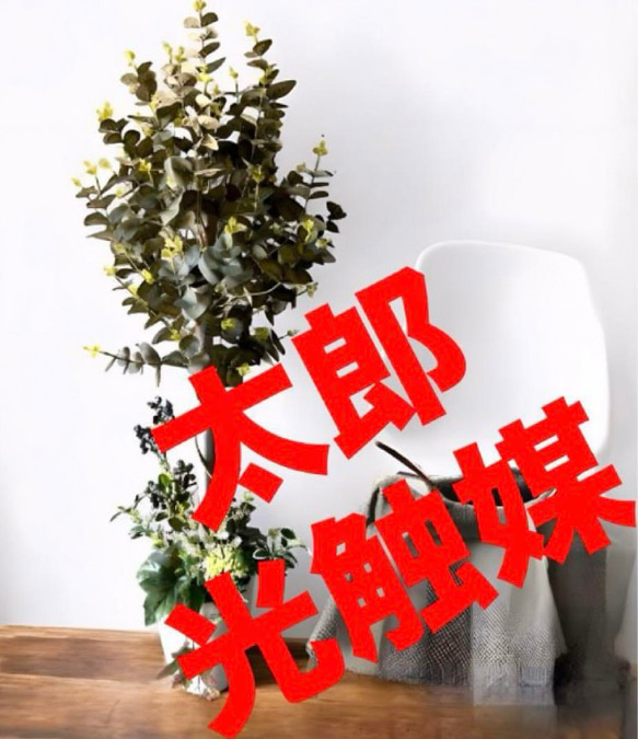 光触媒 人工観葉植物 ウォールグリーン フェイクグリーン