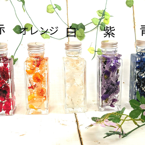 creema限定】”推し色