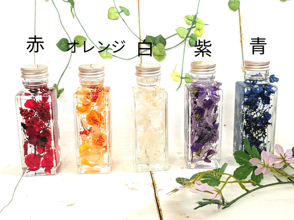 creema限定】”推し色