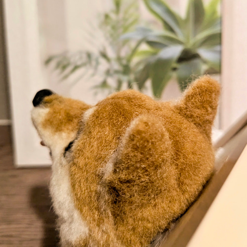 Yahoo!オークション - 羊毛フェルト 豆柴 柴犬 犬 ハンドメイド 芝生