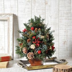 針葉樹のスワッグ (フレッシュ・スワッグ ）期間限定商品 しめ縄