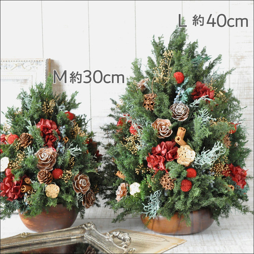 人気No1✽木の実たっぷりシックなクリスマスツリー【～wine red～Msize