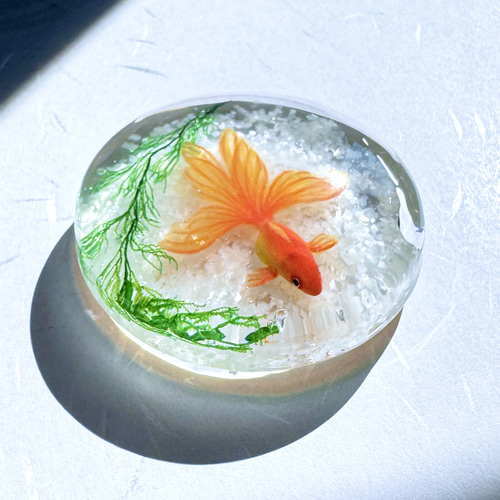 特集掲載】涼菓子のようなペーパーウェイト 文鎮 琉金 金魚 その他雑貨