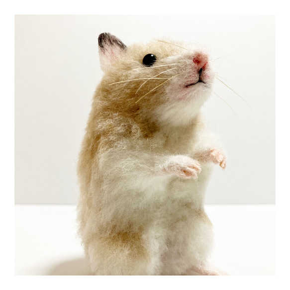 「かわいい～！」 ▽羊毛フェルト ▽羊毛フェルトハムスター ▽羊毛ハムスター 羊毛フェルト