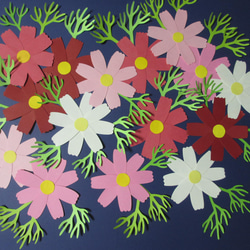 コスモス 〈秋の壁面〉 画用紙 壁面飾り 保育園・幼稚園・学校・図書館