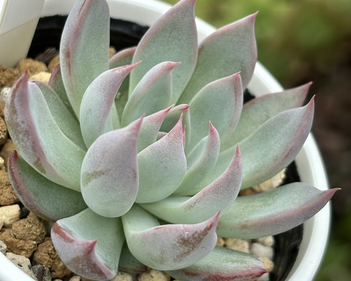 f56edb49c5ecb76e90d945015a6db3