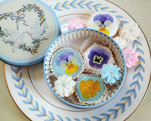 fe3b391448b0dbc0060913c4c2eebb