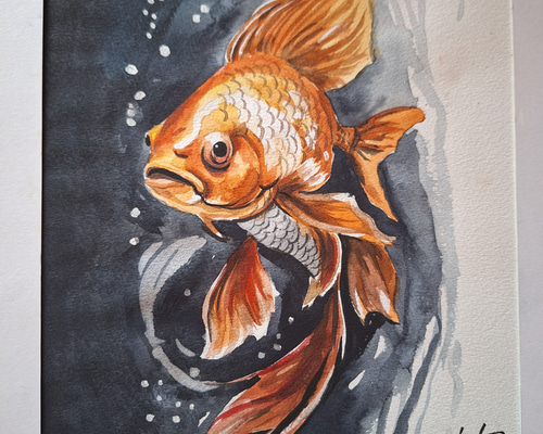 水彩画 金魚 絵画 makochin 通販 18135622｜Creema(クリーマ)