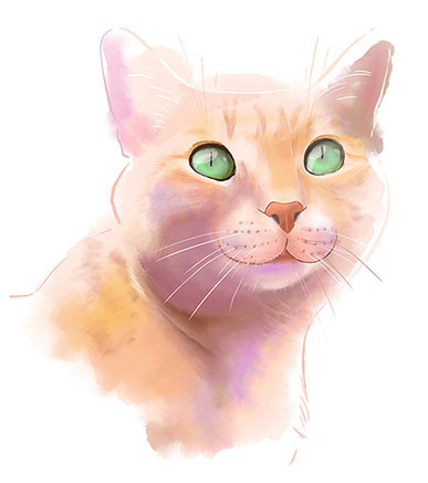 ペットイラスト似顔絵　サンプル作品　猫　肖像画　オーダーメイド
