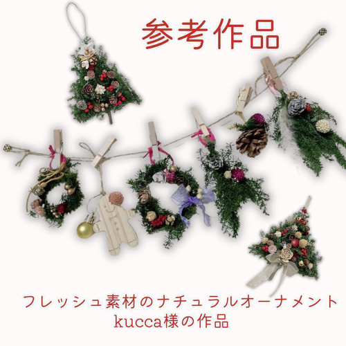 送料無料 ヒムロスギ ＊シルバーグリーン 大地農園 送料無料＆4点毎に1