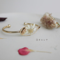 植物標本風 ドライフラワーのバングル｜ブレスレット｜No.199 9枚目の画像