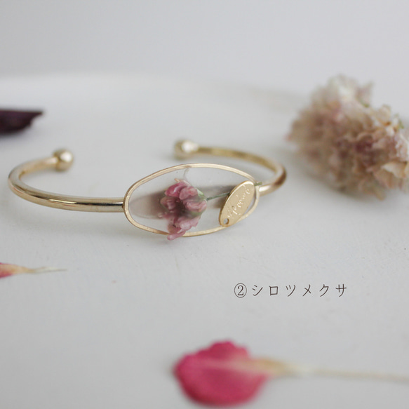 植物標本風 ドライフラワーのバングル｜ブレスレット｜No.199 6枚目の画像