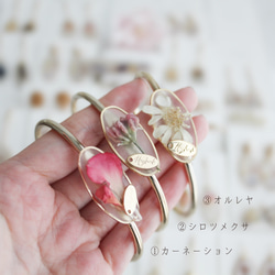 植物標本風 ドライフラワーのバングル｜ブレスレット｜No.199 2枚目の画像