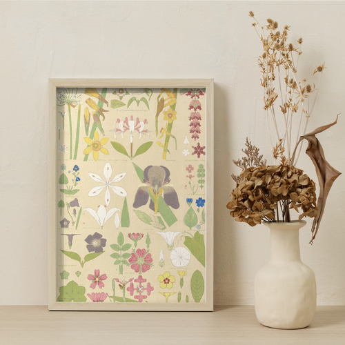 原画 フラワーアート 花の絵 花柄 ボタニカル 花図鑑 花