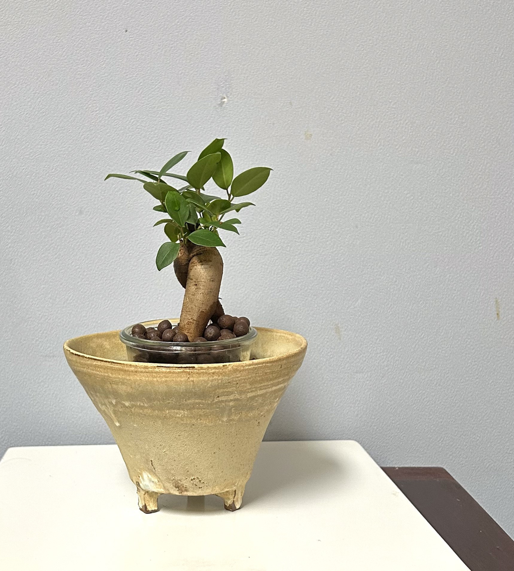 cj plants ✖️tooco ✖️wabi 植木鉢　アガベ　陶器鉢　作家鉢 cj plants ✖️tooco ✖️wabi 植木鉢 アガベ 陶器鉢 作家鉢