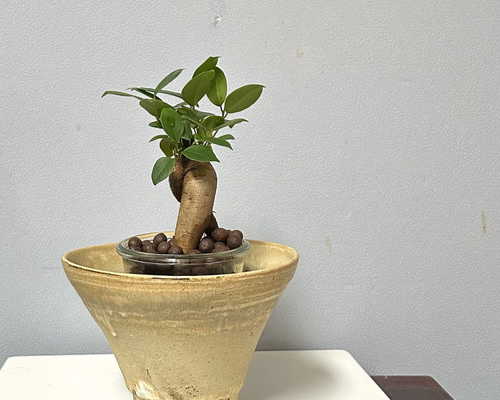 盆栽鉢　3点　おまとめ　足つき　陶器　花器　花瓶　年代物　工芸品　趣味 盆栽鉢 3点 おまとめ 足つき 陶器 花器 花瓶 年代物 工芸品 趣味