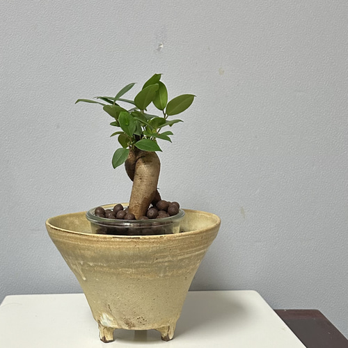 陶器 植木鉢 flowerpot アガベETC 足つき 一輪挿し・花瓶・花器 陶器 植木鉢 flowerpot アガベETC 足つき 一輪挿し・花瓶・花器