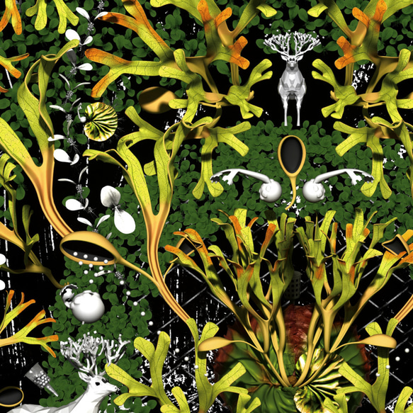 ビカクシダ リドレイポスター【MANDARA】ボタニカルアート インテリア 3枚目の画像