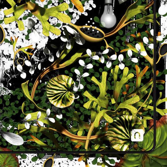 ビカクシダ リドレイポスター【MANDARA】ボタニカルアート インテリア 4枚目の画像