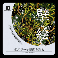 ビカクシダ リドレイポスター【MANDARA】ボタニカルアート インテリア 2枚目の画像