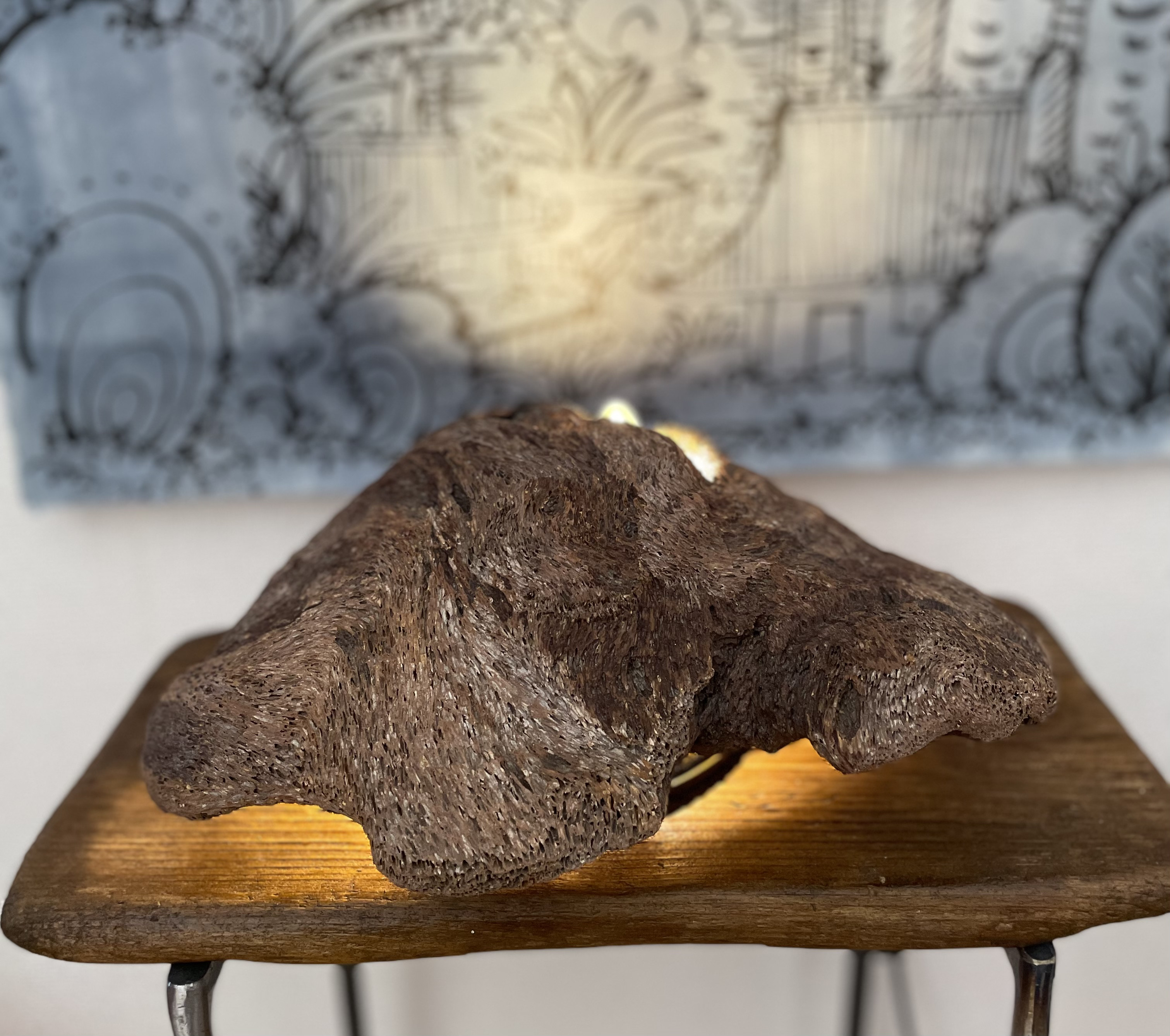 【流木インテリア】№8_流木スタンドライト