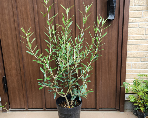 148493acd2919acf213d9085da68b5