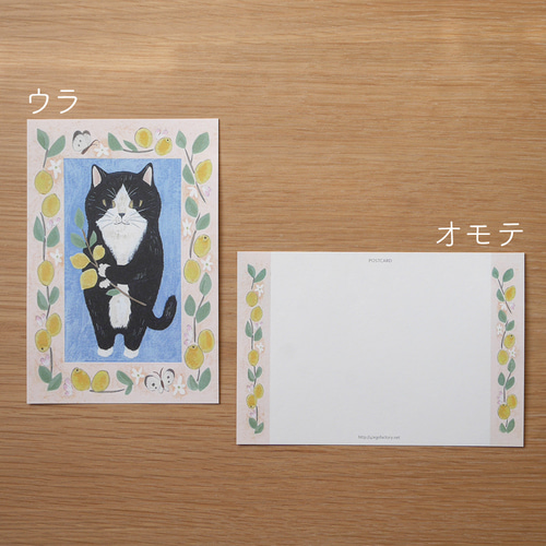 ねこ様専用＊メドベージェワ メドちゃん 当選品 直筆サイン