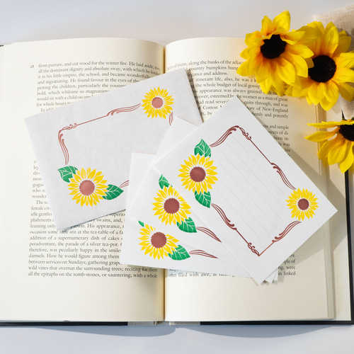 ひまわり、復刻版、二冊セット！ mqdefault.jpg