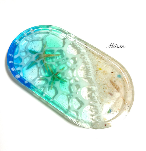 海波南国キャッシュトレイ小