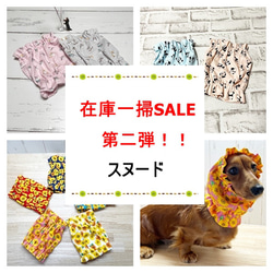犬服 M わんこの普段着花うさぎ