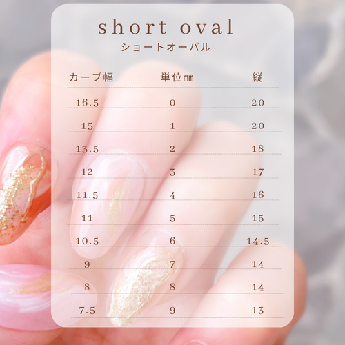 うる艶ニュアンス ネイルチップ ネイルチップ（つけ爪） nail