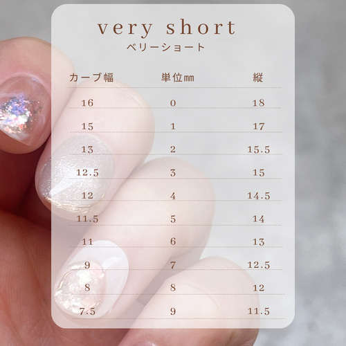 うる艶ニュアンス ネイルチップ ネイルチップ（つけ爪） nail tip BUB